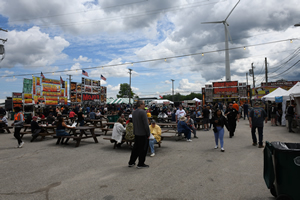 2025 Berea Rib image 